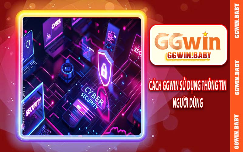 Cách GGWIN sử dụng thông tin người dùng