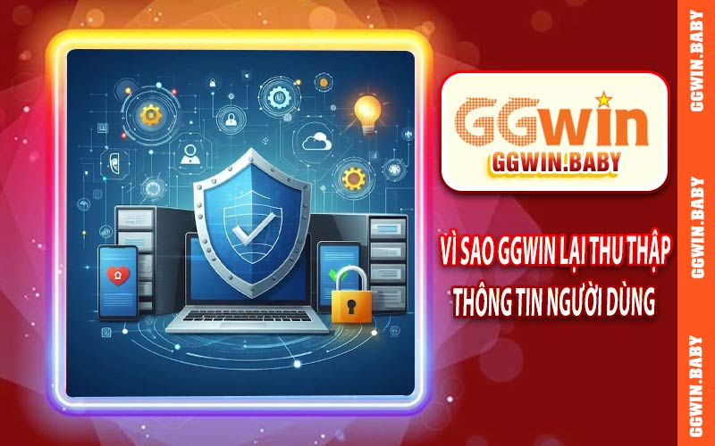 Vì sao GGWIN lại thu thập thông tin người dùng