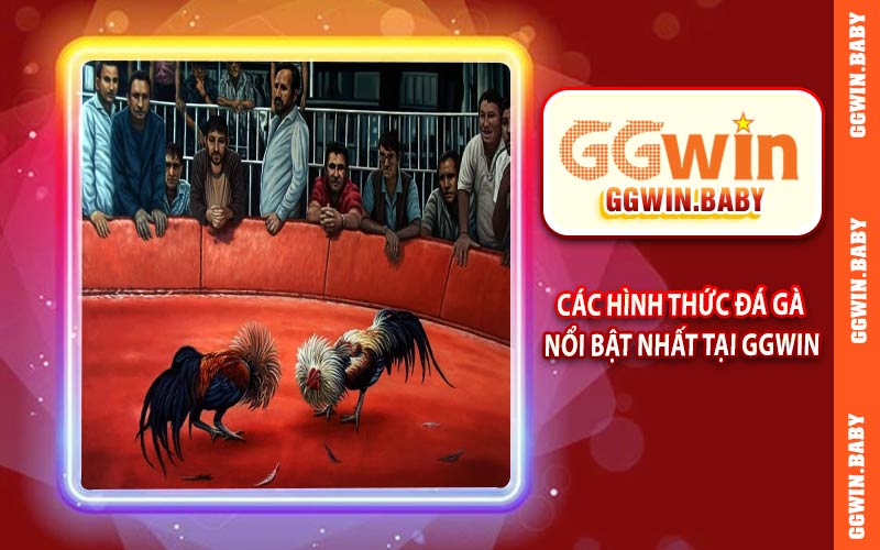 Các hình thức đá gà nổi bật nhất tại đá gà GGWIN