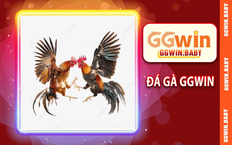Đá Gà GGWIN