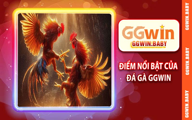 Một số điểm nổi bật của đá gà GGWIN