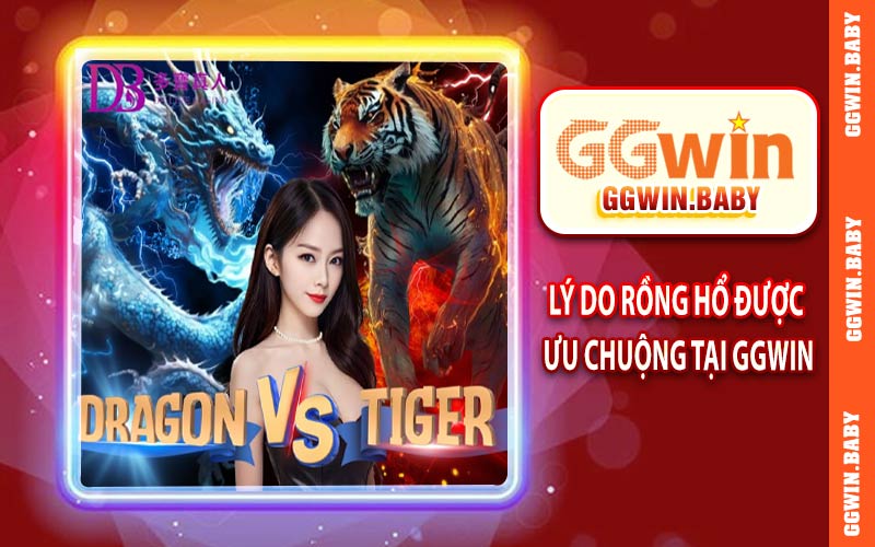 Một vài lý do rồng hổ được ưu chuộng tại GGWIN